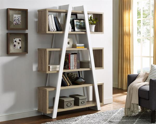 Five reasons why you should have a Bookcase